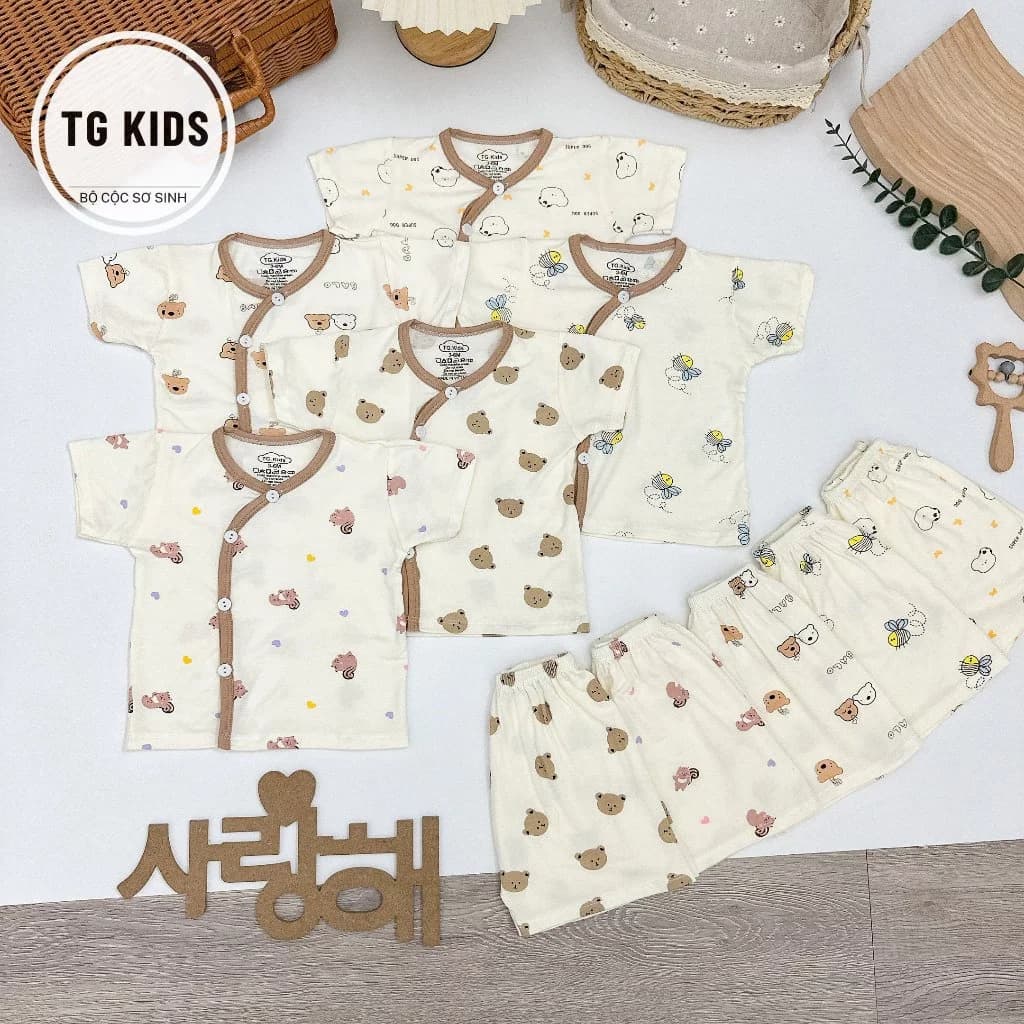 (MS212)Bộ cộc tay peptit khuy lệch cho bé yêu phong cách Hàn Quốc