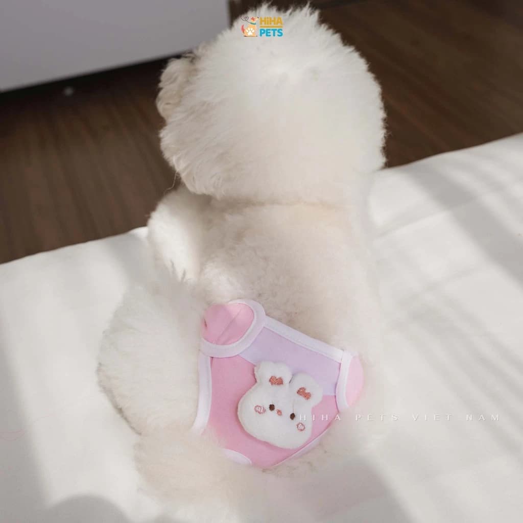 Tả Lót Cho Chó, Tã Quần Gấu, Hoa Tulip Cho Chó Cái, Chip Cho Thú Cưng Những Ngày Rụng Dâu Hiha Pets