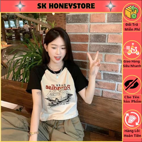 Áo thun cotton nữ xinh xắn 1135 💎 Áo phông nữ , áo cộc nữ