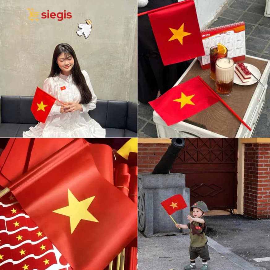Cờ Đỏ Sao Vàng Việt Nam - Combo 10 Cờ Đỏ Sao Vàng, Cờ Vẫy, Cờ Tổ Quốc Cầm Tay