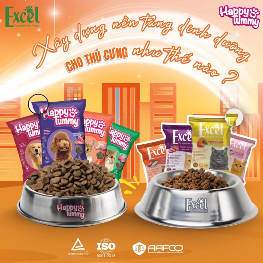 [800G] Hạt HAPPY TUMMY Cho Chó - Giàu dinh dưỡng, Dễ tiêu hóa, Cho chó nhỏ & vừa