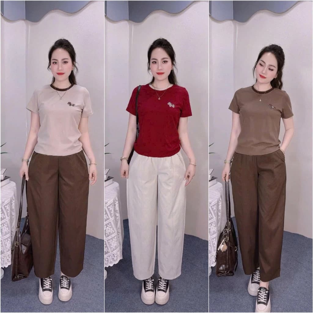 2026. Sét bộ trơn cho nữ tag ngựa, Áo thun tag ngựa thêu + Quần baggy gân chất kaki mềm (40-70kg)