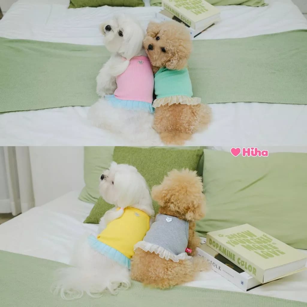 Áo Thun Cho Chó Mèo, Áo Thun Hai Dây Cho Thú Cưng, Quần Áo Thun Cotton Nhiều Màu Hiha Pets