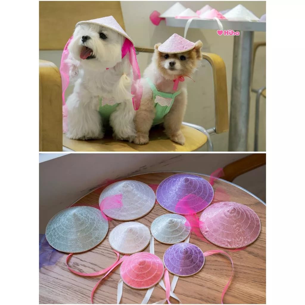 Nón Lá  Cho Chó Mèo Nón Lá Việt Nam Cho Thú Cưng Thoáng Khí Cho Chó Poodle, Corgi, Pom ...