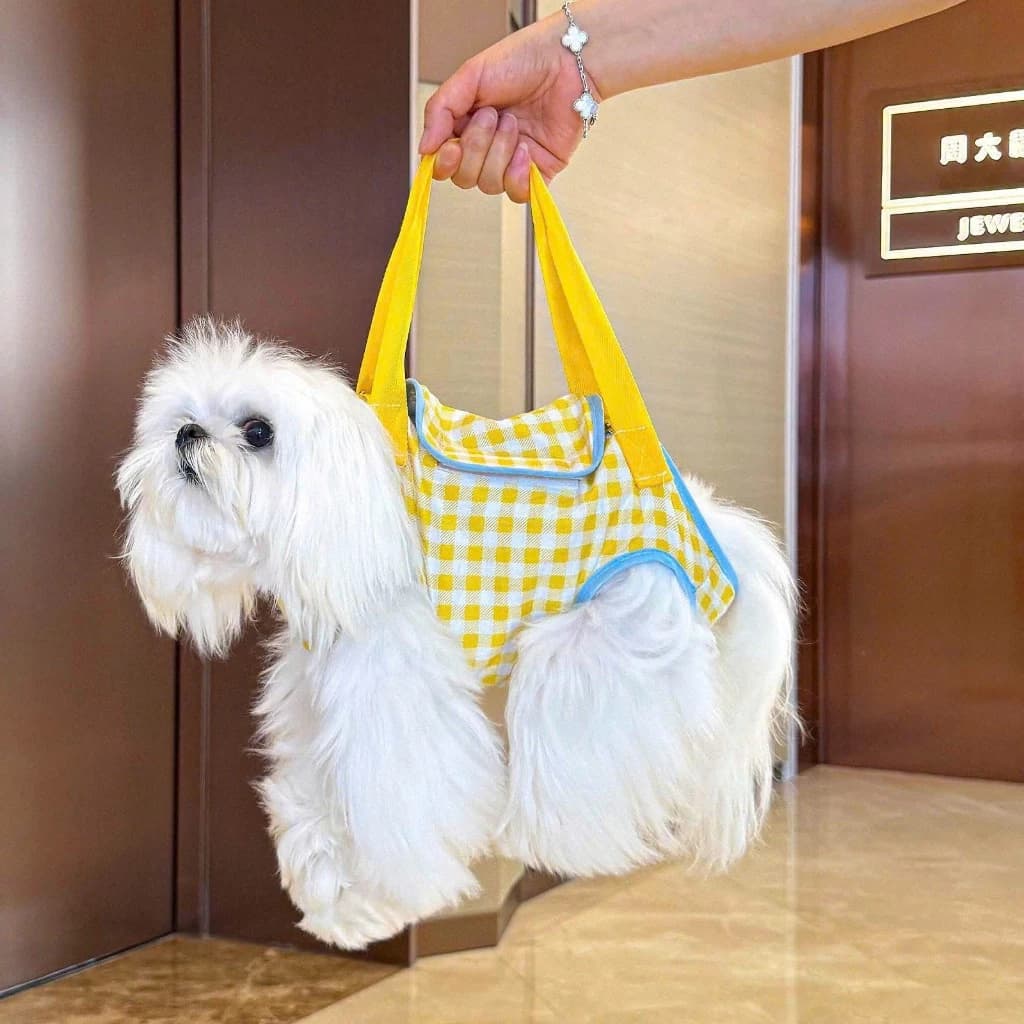 Túi Vải Địu Chó Mèo Đi Chơi, Phụ Kiện Địu Bé Chó Mèo Đi Dạo  Thiết Kế Thời Trang 2026 Hihapet.