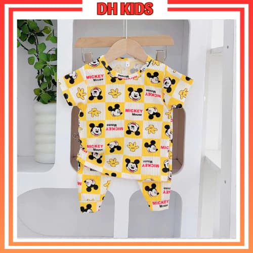 [CD01] Bộ quần áo cộc tay quần dài chất thun tăm lạnh mềm mát cho bé trai bé gái từ 4-15kg - DH KIDS