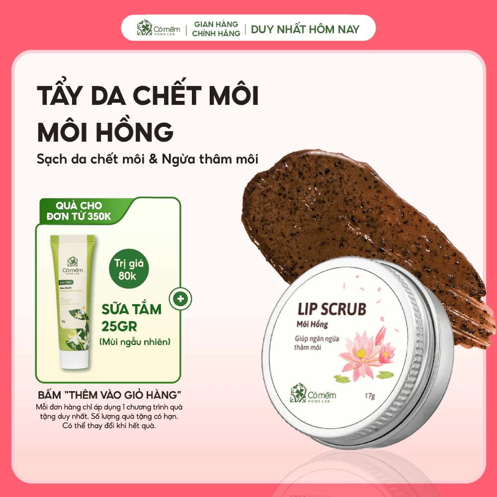 Tẩy Tế Bào Chết Môi Lip Scrub Môi Hồng Giúp Môi Mềm Mịn Ngăn Ngừa Thâm Môi 18gr