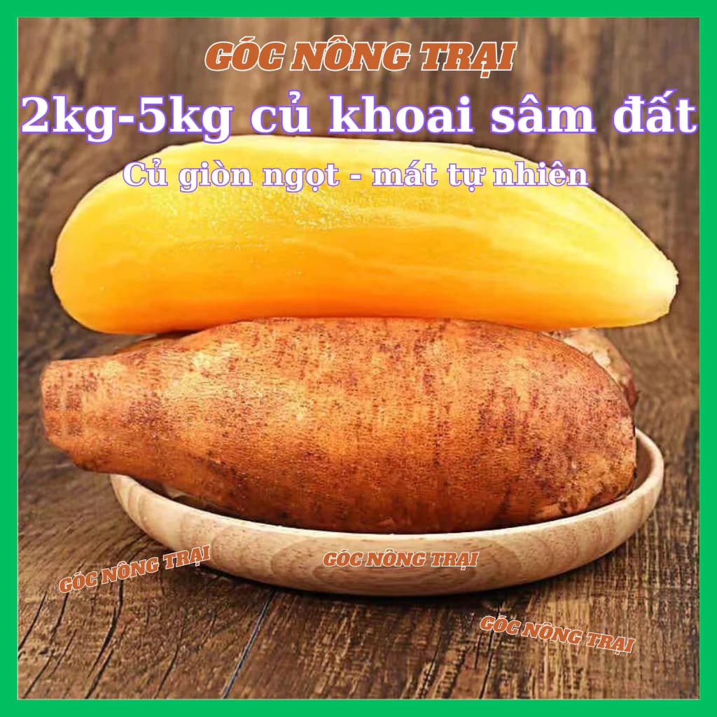 Khoai sâm đất (2kg - 5kg) đặc sản Y Tý Lào Cai, khoai ngọt thanh, mát, nhiều nước.
