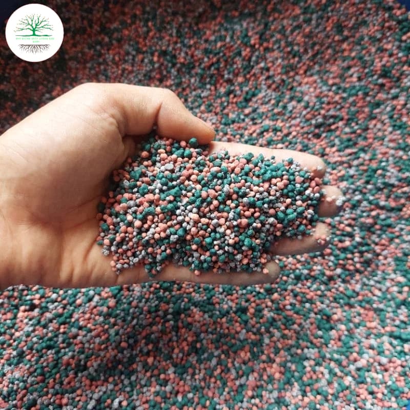 Phân bón tổng hợp NPK,phân bón Nitrophoska giúp cây tăng trưởng và phát triển toàn diện